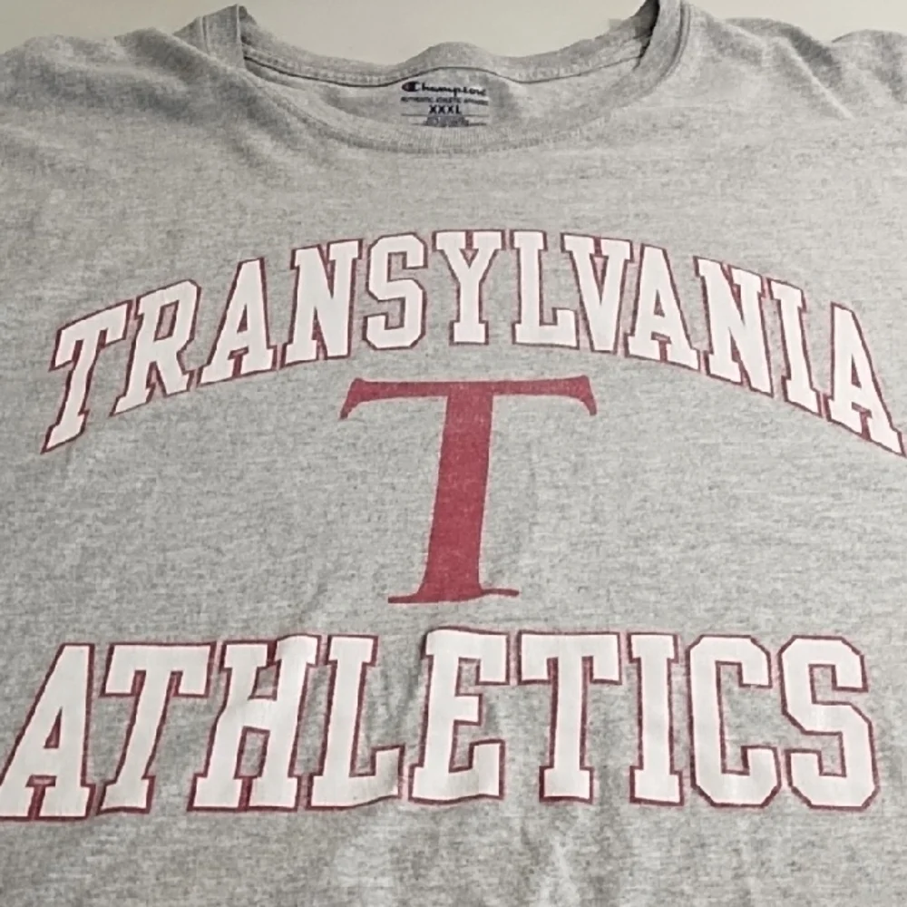 Champion Gray Transylvania Athletics Tee Shirt - Picture 5 of 11